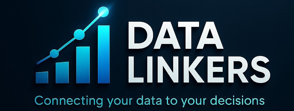 BiDataLinkers - Connecting your data to your decisions